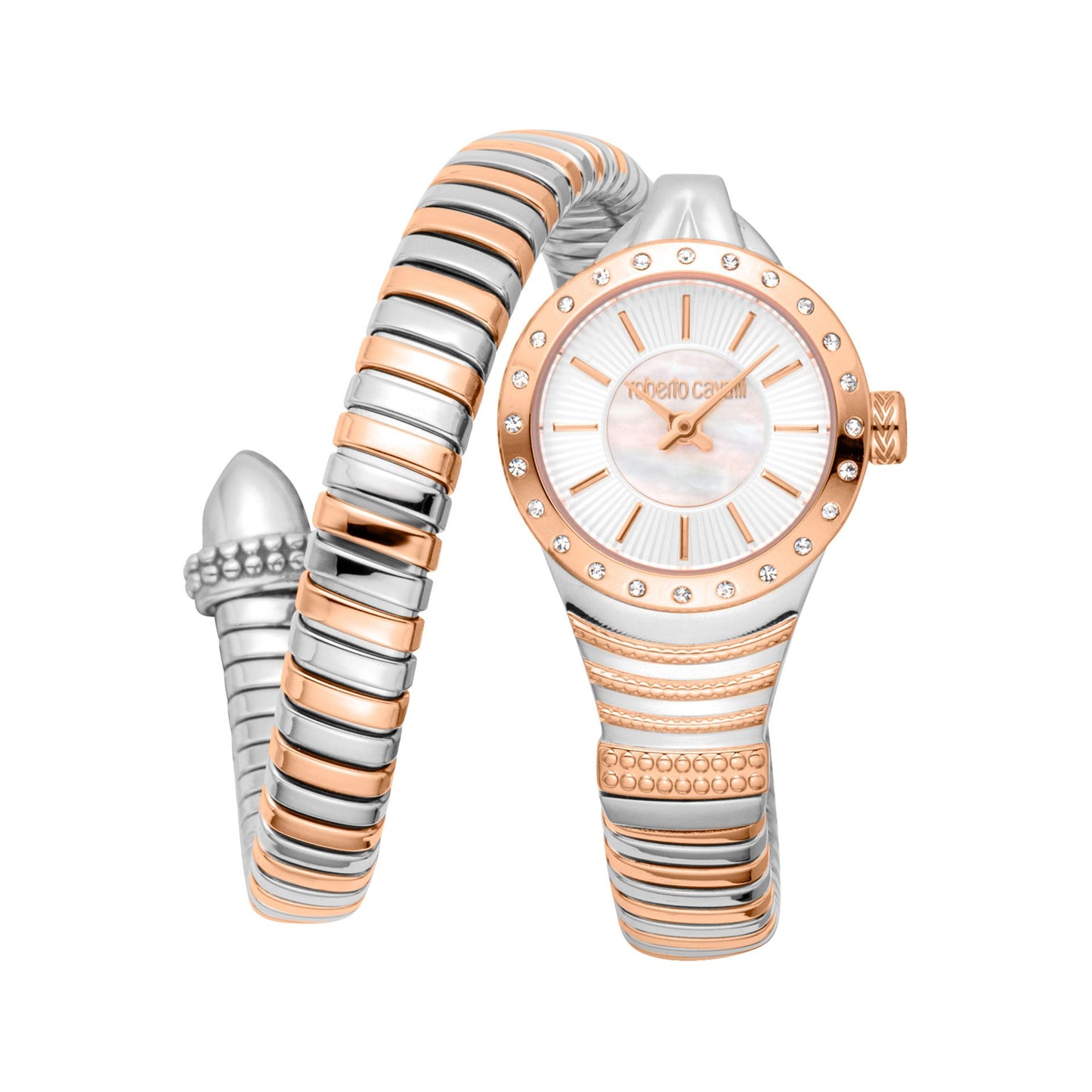 Roberto Cavalli Orologi